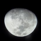 thumbnails/010-2014-04-11-Planetary_weekend--13.jpg.small.jpeg